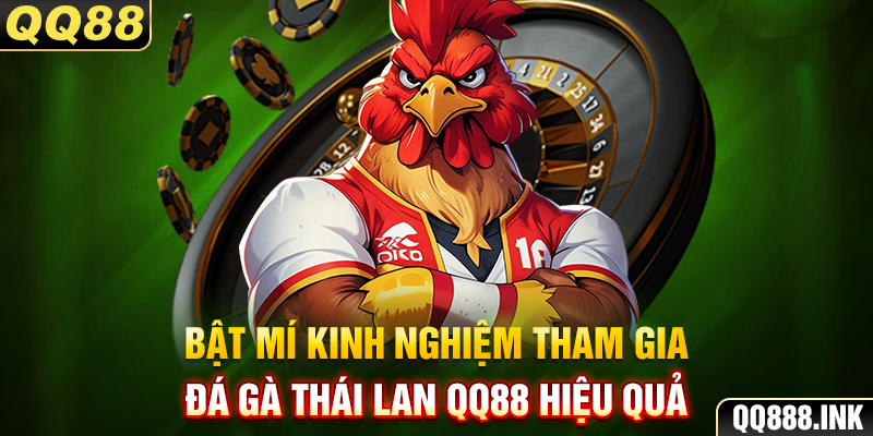 Bật mí kinh nghiệm tham gia đá gà Thái Lan QQ88 hiệu quả