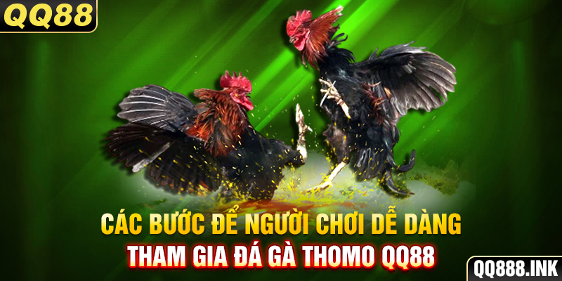 Các bước để người chơi dễ dàng tham gia đá gà Thomo QQ88