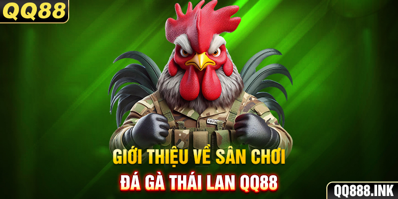 Giới thiệu về sân chơi đá gà Thái Lan QQ88 