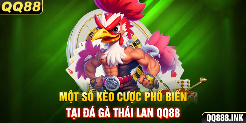 Một số kèo cược phổ biến tại đá gà Thái Lan QQ88