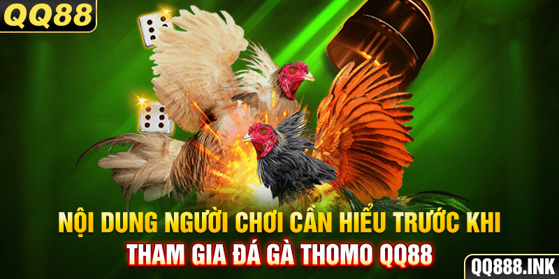 Nội dung người chơi cần hiểu trước khi tham gia đá gà Thomo QQ88