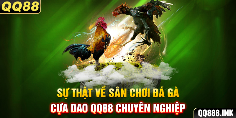 Sự thật về sân chơi đá gà cựa dao QQ88 chuyên nghiệp